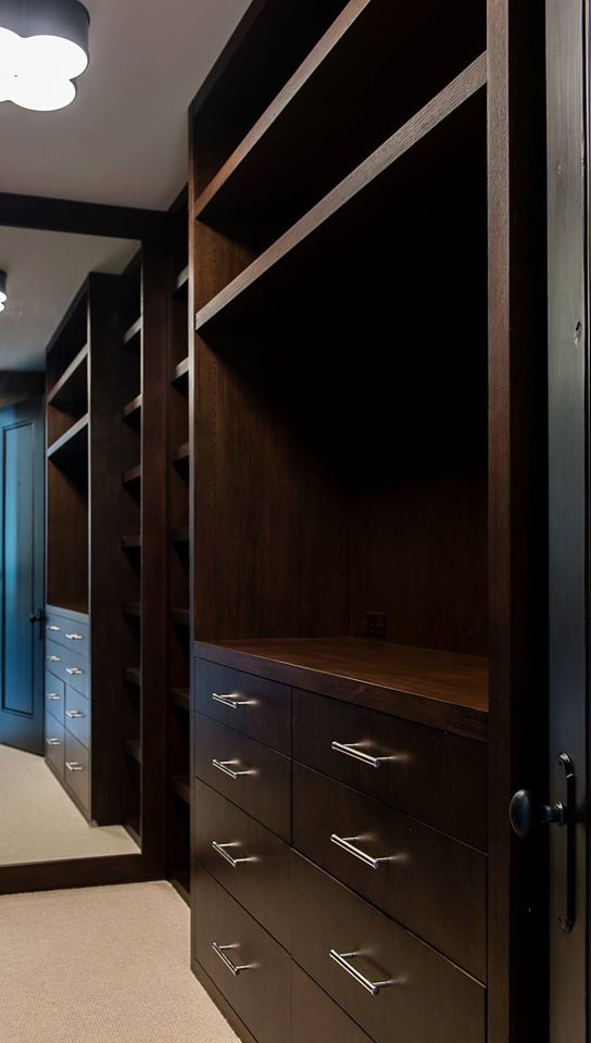 Walk-in closet - small modern carpeted walk-in closet idea in Phoenix with open cabinets and dark wood cabinets