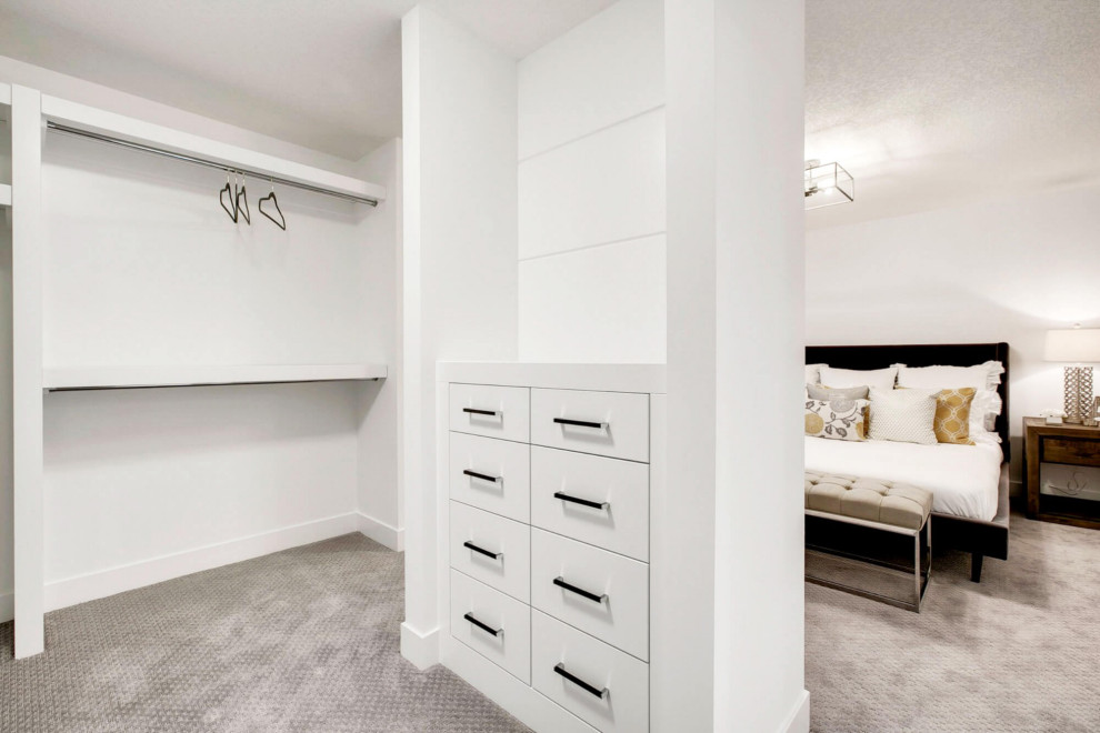 Modelo de armario unisex moderno de tamaño medio con armarios abiertos, puertas de armario blancas, moqueta y suelo gris