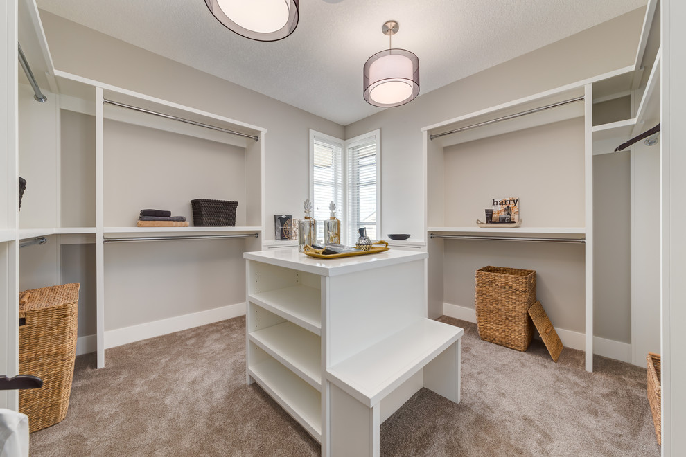 Inspiration for a large contemporary gender-neutral carpeted walk-in closet remodel in Calgary with open cabinets and white cabinets