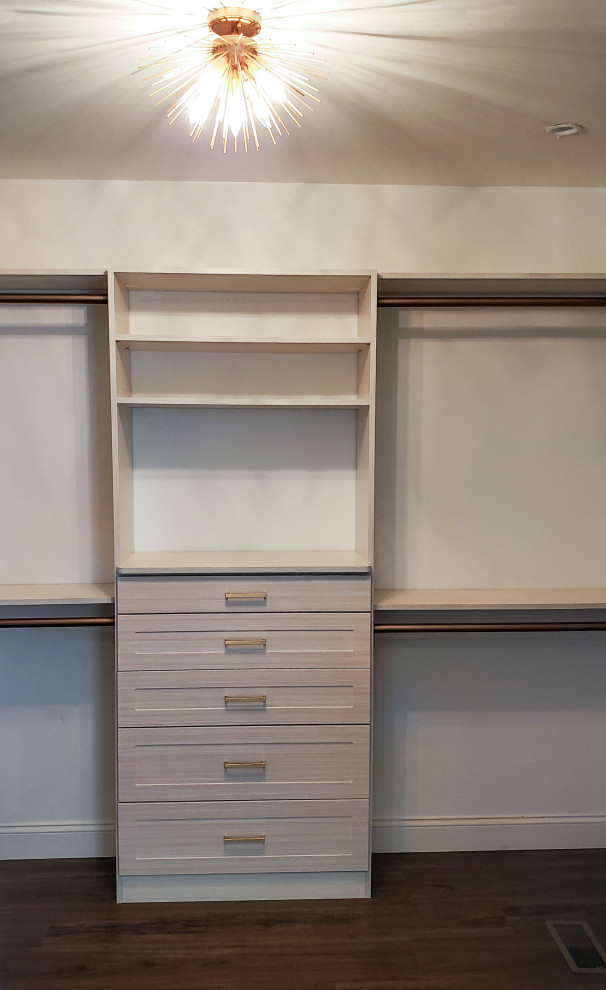 Custom master closet with full length mirror & matte gold