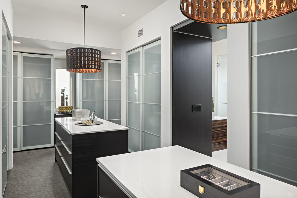 Large trendy gender-neutral carpeted and gray floor dressing room photo in Phoenix with glass-front cabinets and gray cabinets
