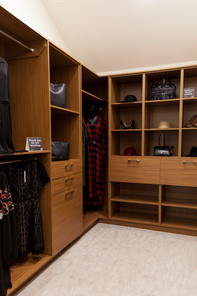 Inspiration for a contemporary closet remodel in Edmonton