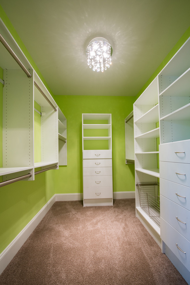 Inspiration for a large contemporary walk-in wardrobe for women in Philadelphia with carpet.