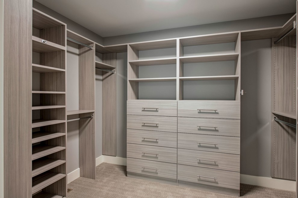 Exempel på ett mellanstort klassiskt walk-in-closet för könsneutrala, med släta luckor, grå skåp, heltäckningsmatta och grått golv