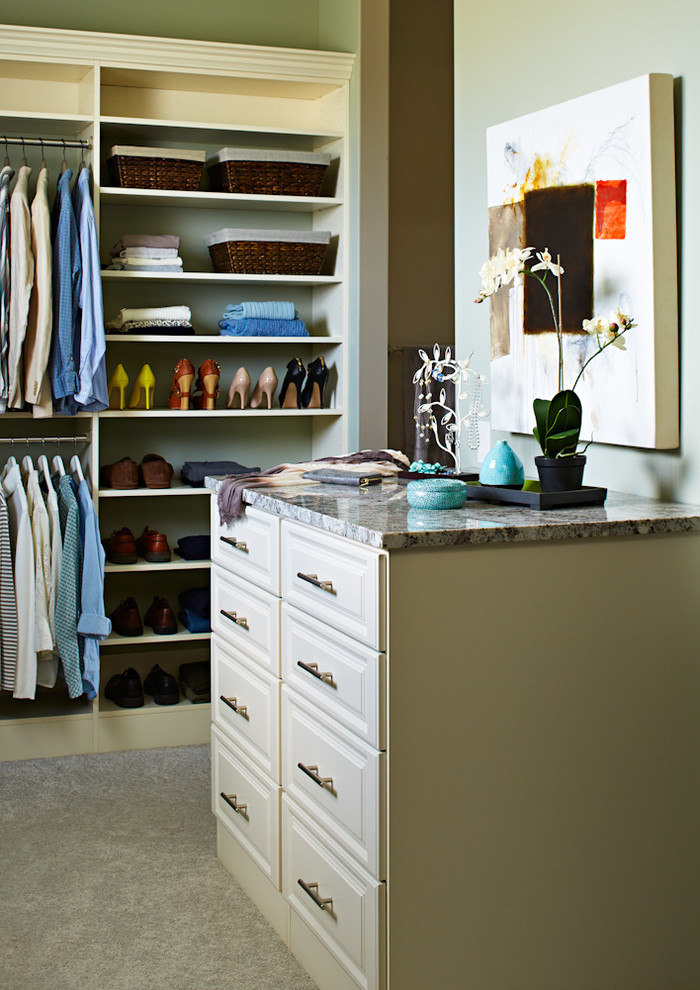 Aménagement d'un grand dressing contemporain neutre avec un placard avec porte à panneau surélevé, des portes de placard grises et moquette.