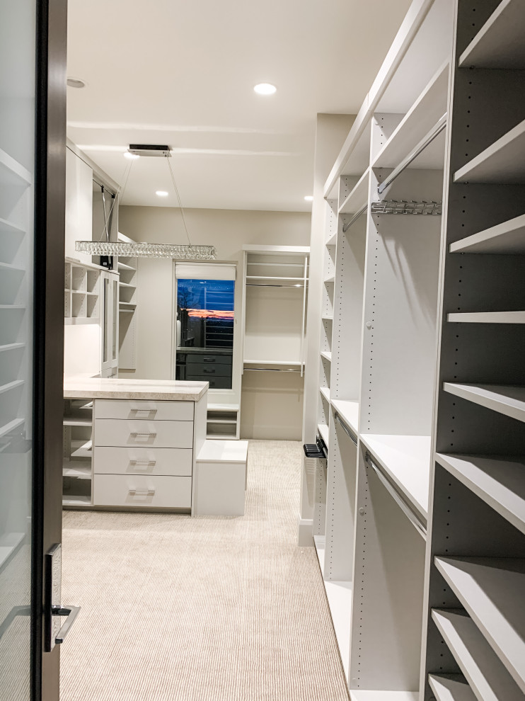 Inspiration for a large contemporary gender neutral walk-in wardrobe in Salt Lake City with glass-front cabinets, light wood cabinets, carpet and beige floors.