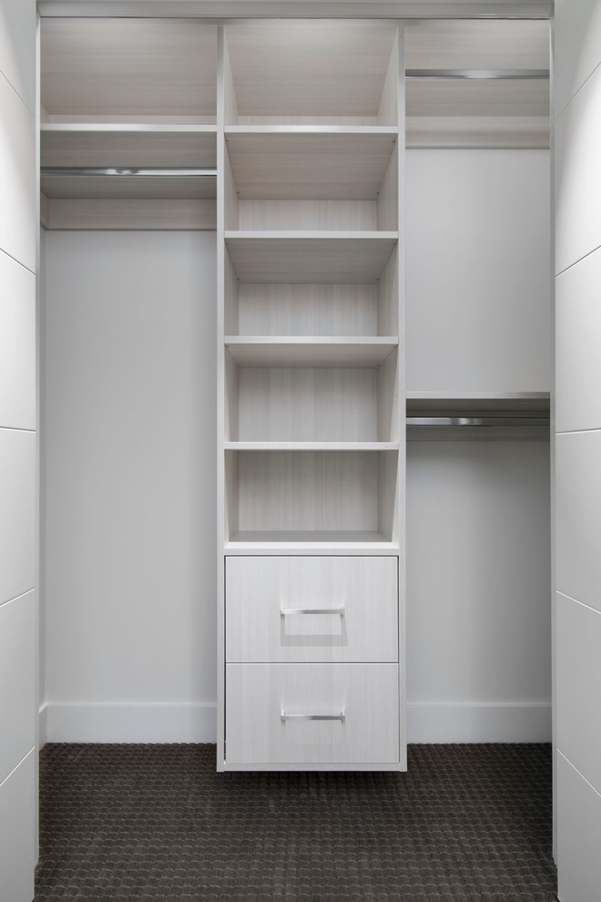 Modelo de armario unisex actual pequeño con armarios con paneles lisos, puertas de armario de madera clara y moqueta