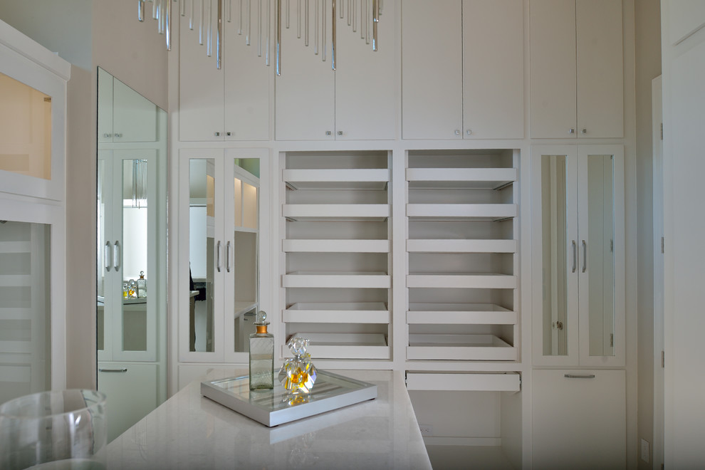 Идея дизайна: большая гардеробная комната унисекс в современном стиле с плоскими фасадами и белыми фасадами