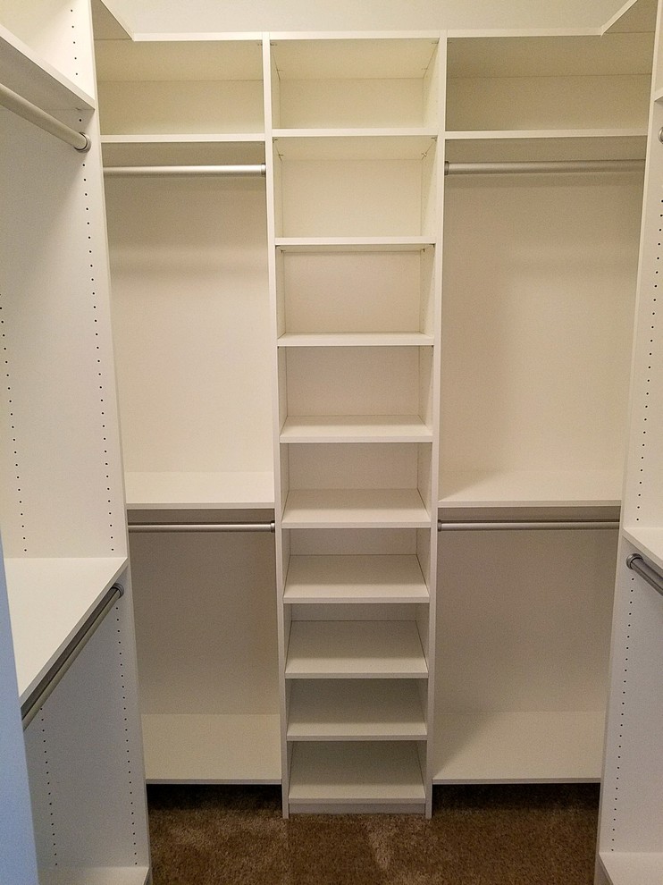 Idéer för att renovera ett litet amerikanskt walk-in-closet, med släta luckor, vita skåp, heltäckningsmatta och brunt golv