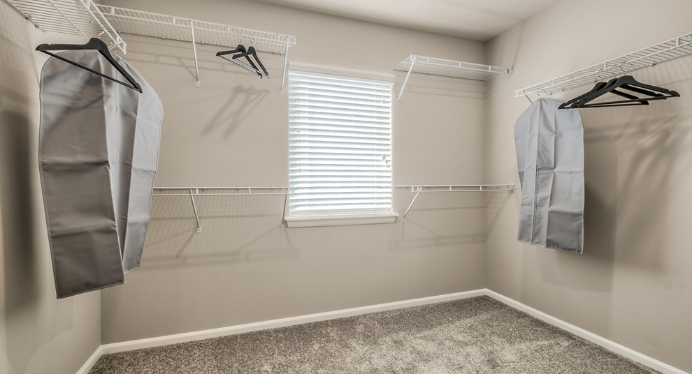 Idee per uno spazio per vestirsi unisex contemporaneo di medie dimensioni con moquette e pavimento grigio