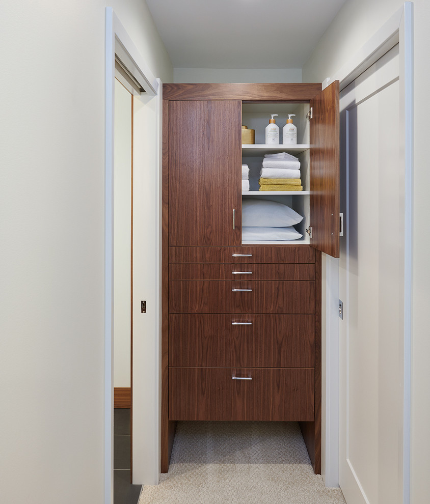 Modelo de vestidor unisex vintage pequeño con armarios con paneles lisos, puertas de armario de madera oscura, moqueta y suelo beige