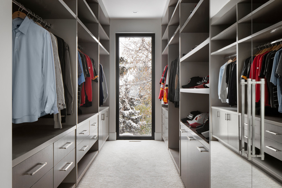 Источник вдохновения для домашнего уюта: встроенный шкаф среднего размера в стиле модернизм с плоскими фасадами и ковровым покрытием