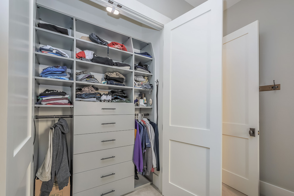 Ejemplo de armario unisex contemporáneo de tamaño medio con armarios con paneles lisos, puertas de armario grises, moqueta y suelo beige