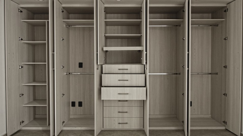 Источник вдохновения для домашнего уюта: большой шкаф в нише в стиле модернизм