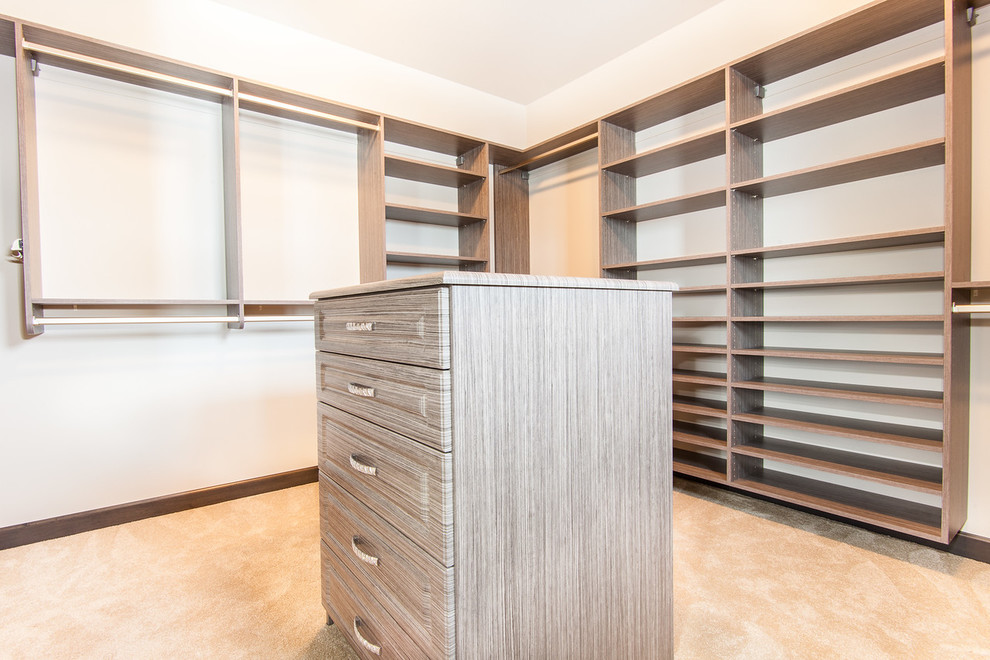 Mid-sized arts and crafts gender-neutral carpeted walk-in closet photo in Milwaukee with open cabinets and light wood cabinets