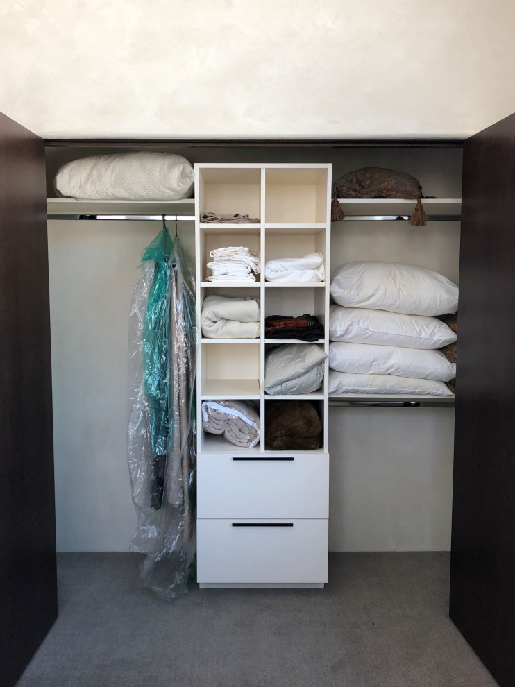 Modelo de armario unisex actual pequeño con armarios con paneles lisos, puertas de armario blancas, moqueta y suelo gris