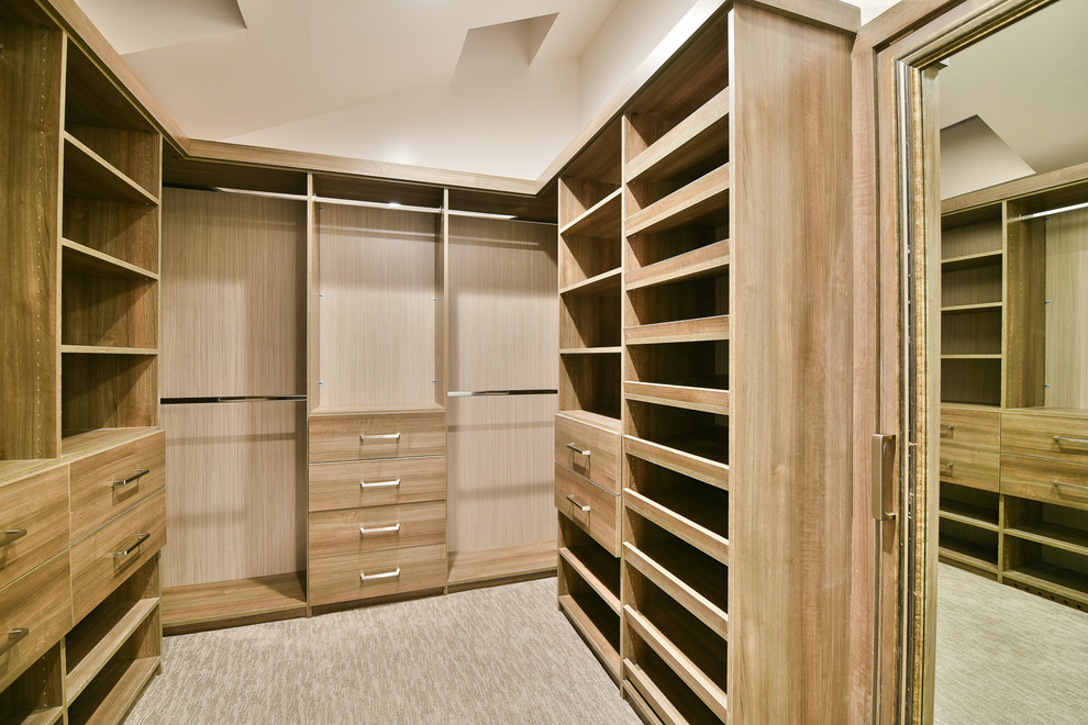 Ispirazione per una cabina armadio unisex minimalista di medie dimensioni con ante lisce, ante in legno scuro, moquette e pavimento grigio