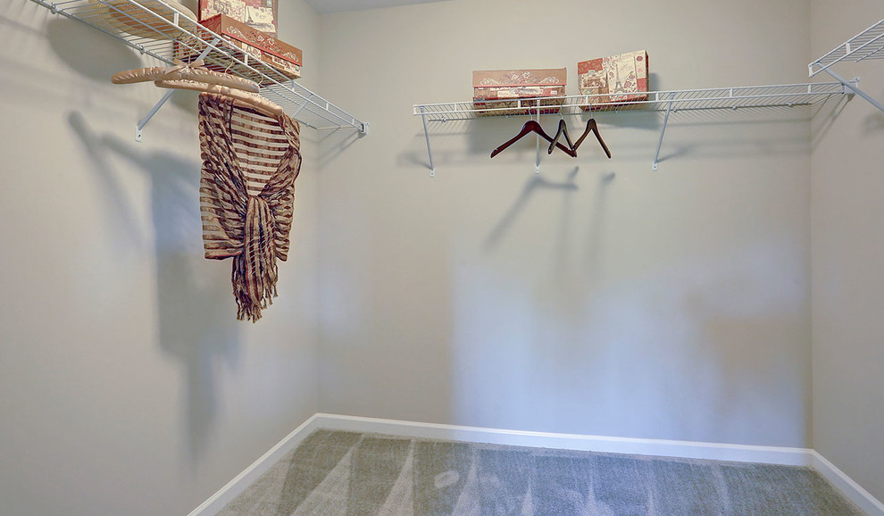 Walk-in closet - large traditional gender-neutral carpeted walk-in closet idea in Other