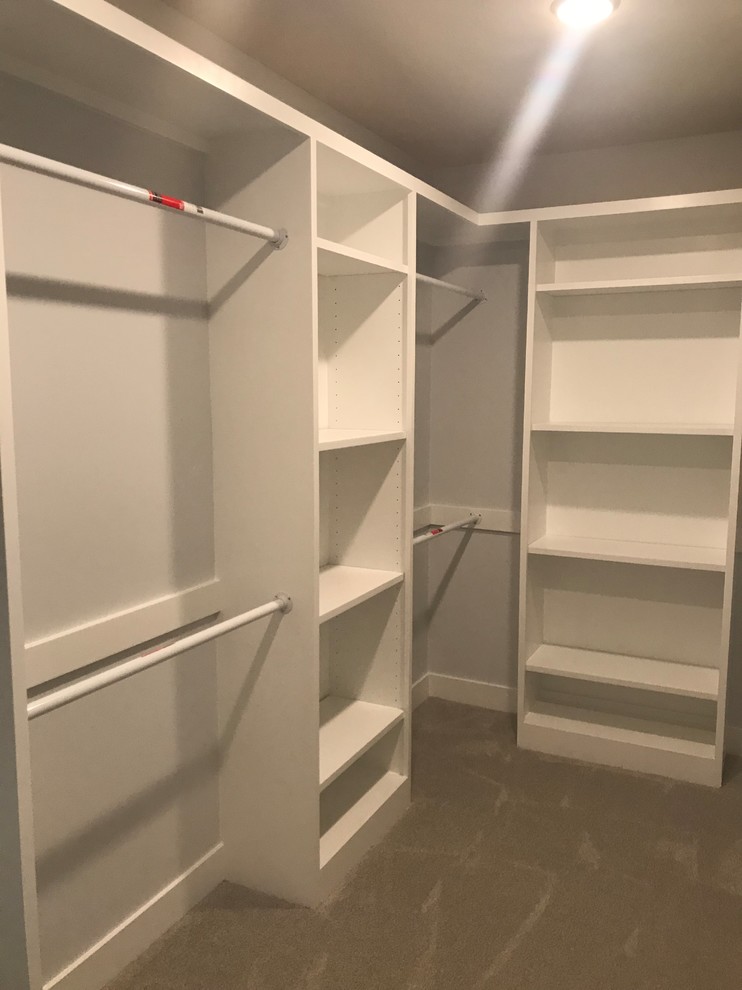Walk-in closet - mid-sized transitional gender-neutral carpeted and beige floor walk-in closet idea in Other with open cabinets and white cabinets