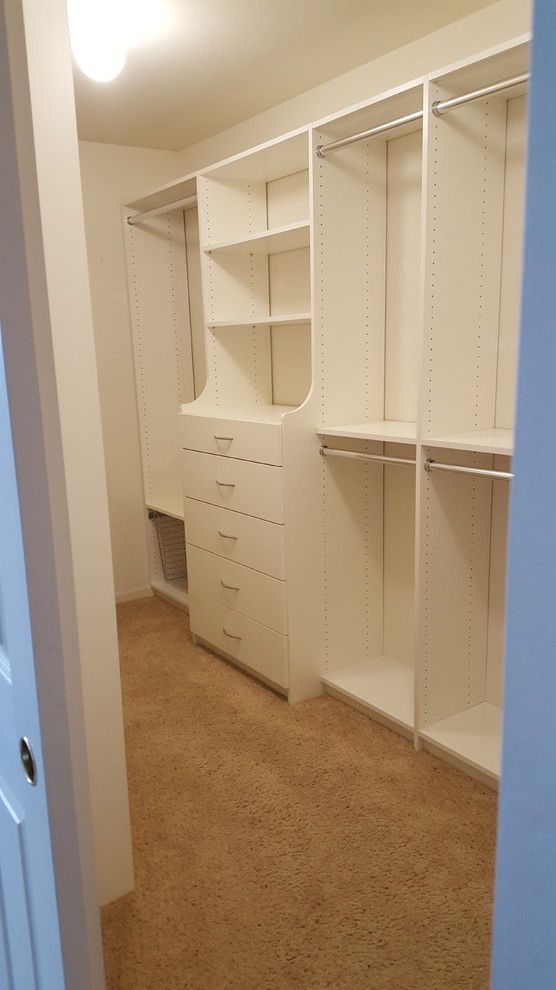 Walk-in closet - mid-sized contemporary gender-neutral carpeted walk-in closet idea in Chicago with flat-panel cabinets and white cabinets