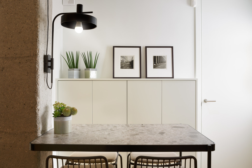Trendy kitchen photo in Alicante-Costa Blanca