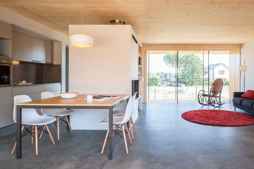 Ispirazione per una grande sala da pranzo aperta verso il soggiorno design con pavimento in cemento e pavimento grigio