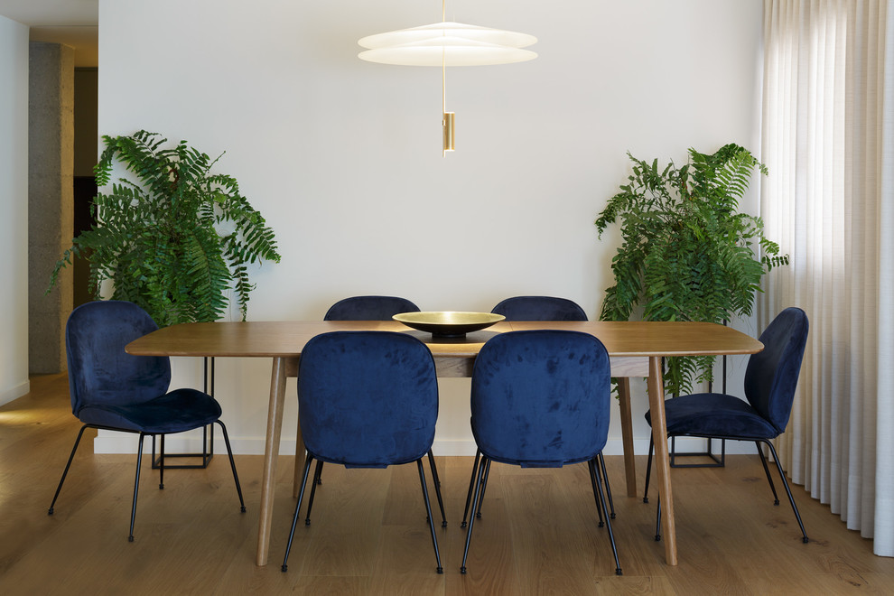 Example of a trendy medium tone wood floor and beige floor dining room design in Alicante-Costa Blanca with white walls