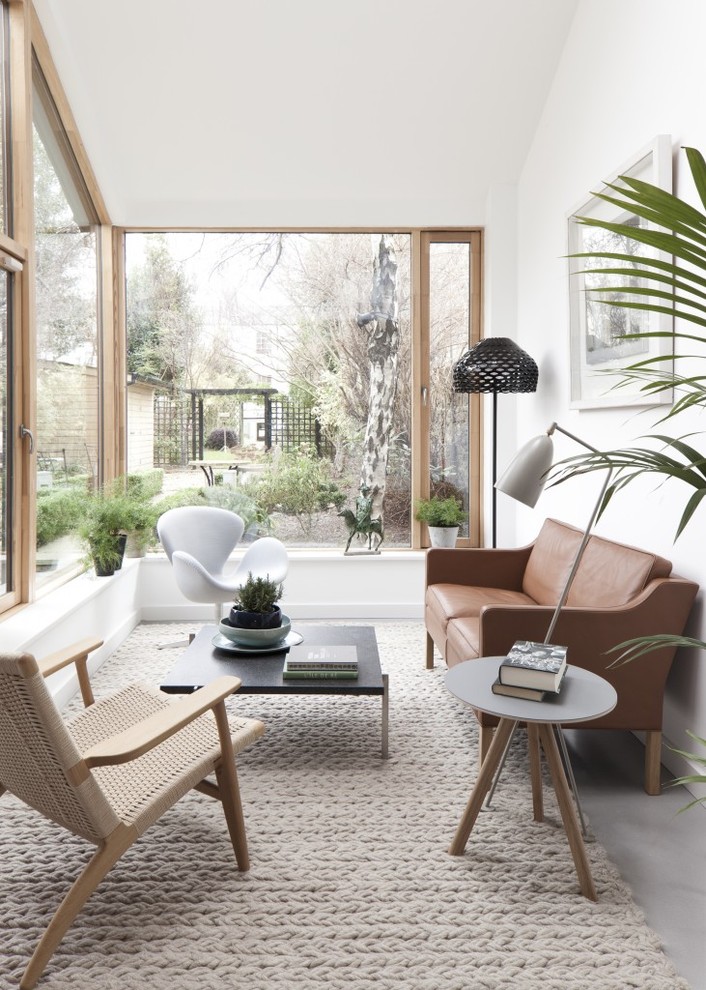 Ispirazione per una veranda contemporanea con pavimento in cemento, soffitto classico e pavimento grigio