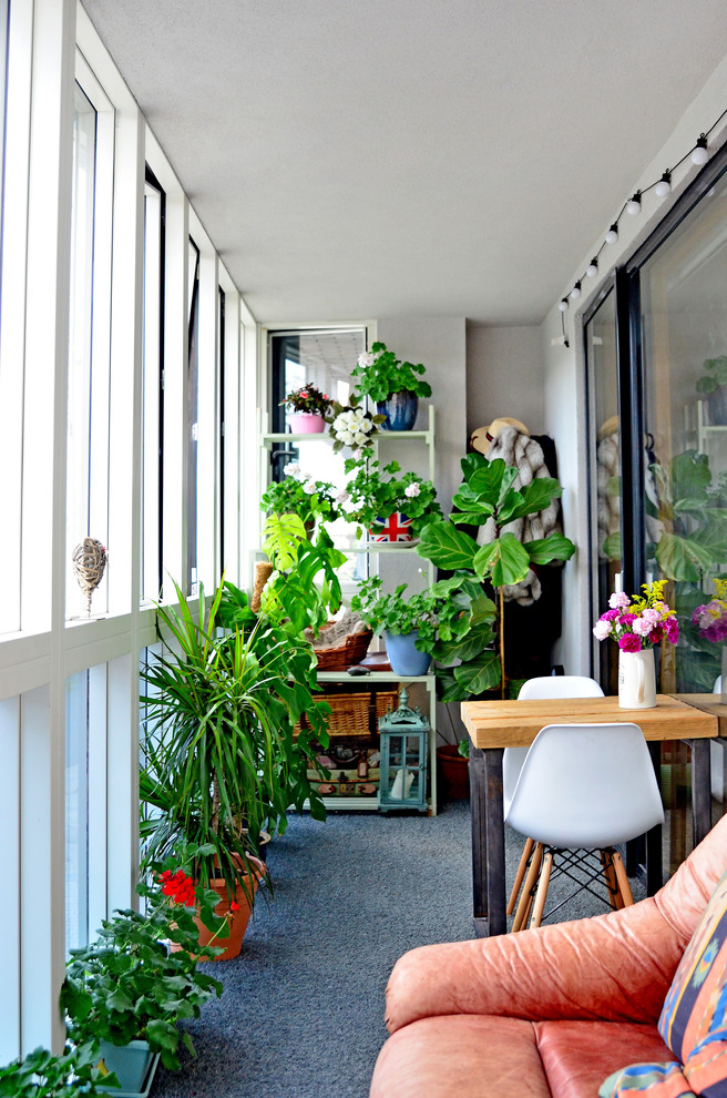 Foto di una veranda eclettica con moquette e soffitto classico