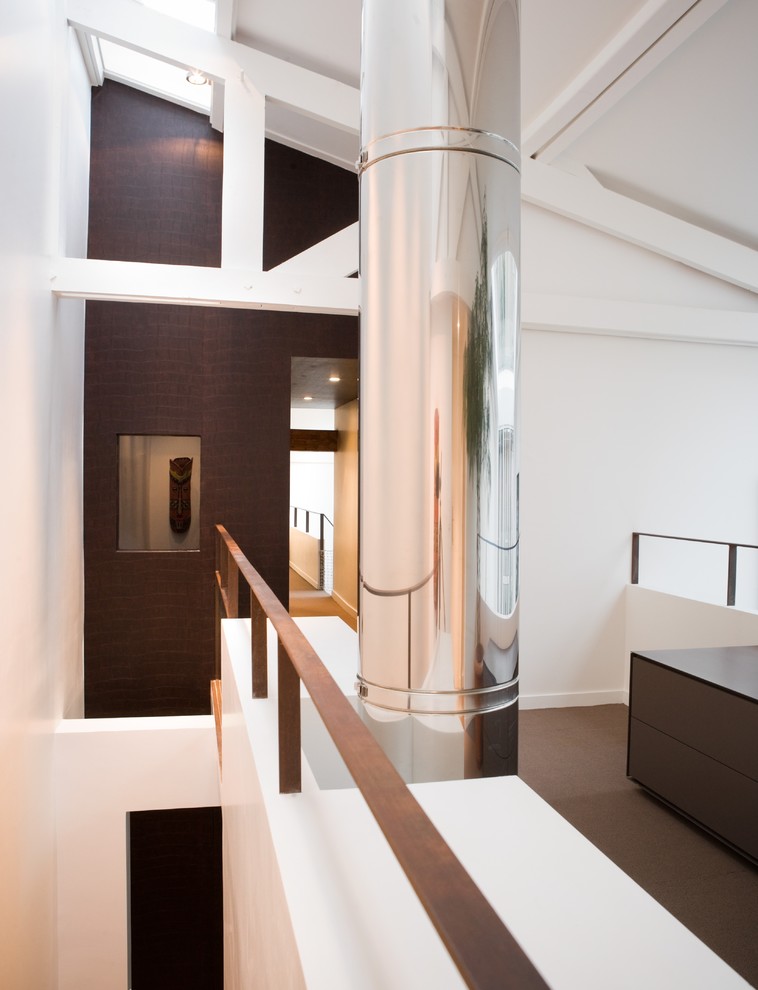 На фото: большой коридор в современном стиле с коричневыми стенами и ковровым покрытием с
