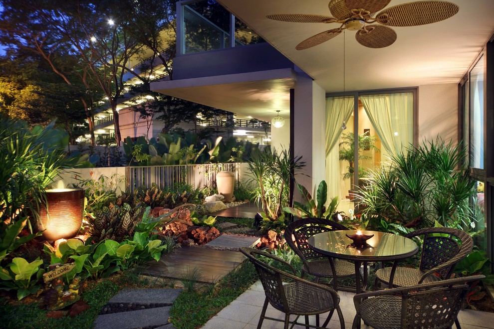 Idee per un piccolo patio o portico tropicale dietro casa con un giardino in vaso e un tetto a sbalzo
