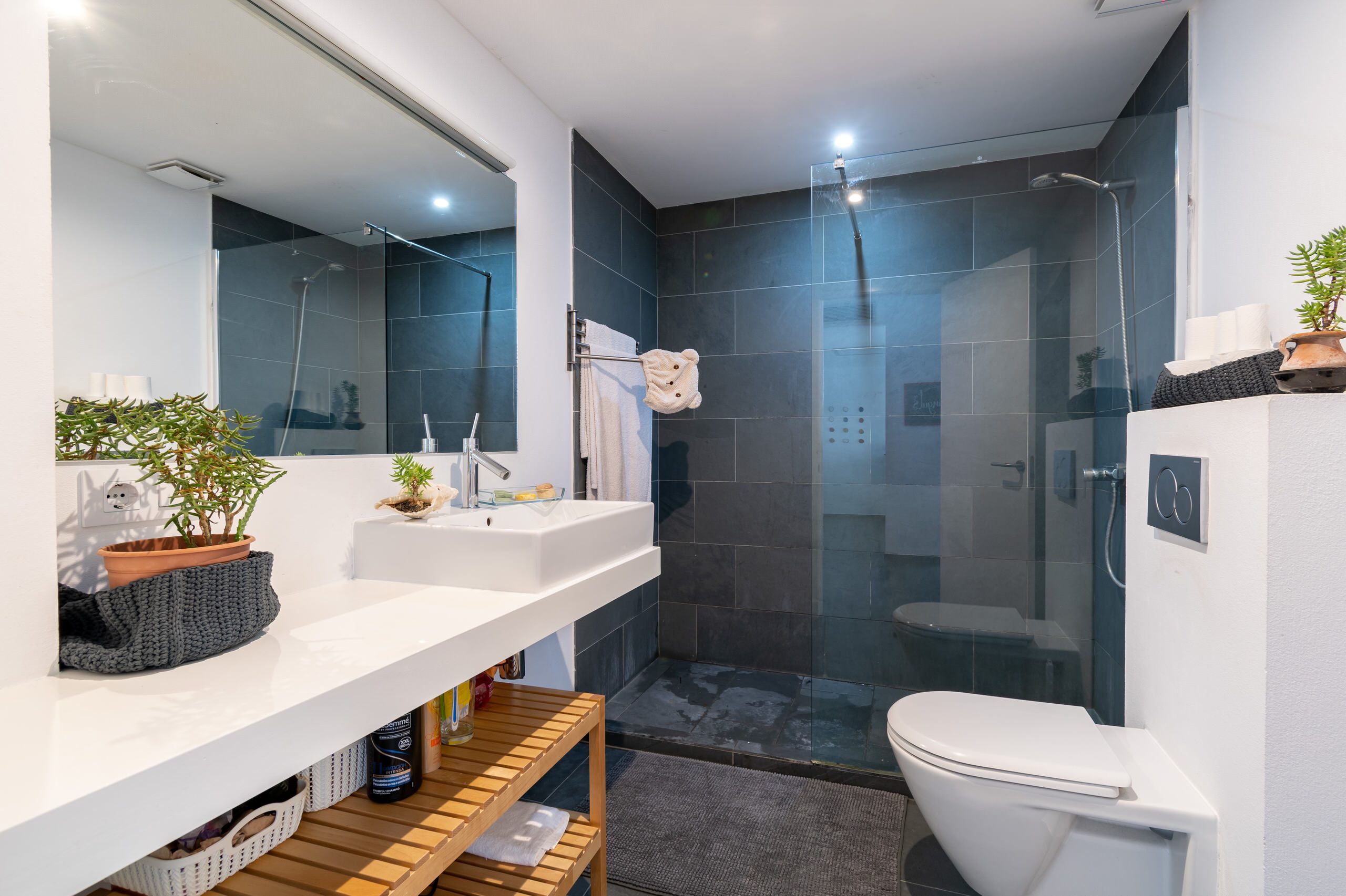 Fotos de baños | Diseños de baños con aseo y ducha - Diciembre 2022 | Houzz  ES