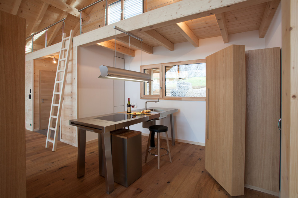 Modelo de cocina lineal nórdica pequeña abierta con fregadero integrado y suelo de madera en tonos medios