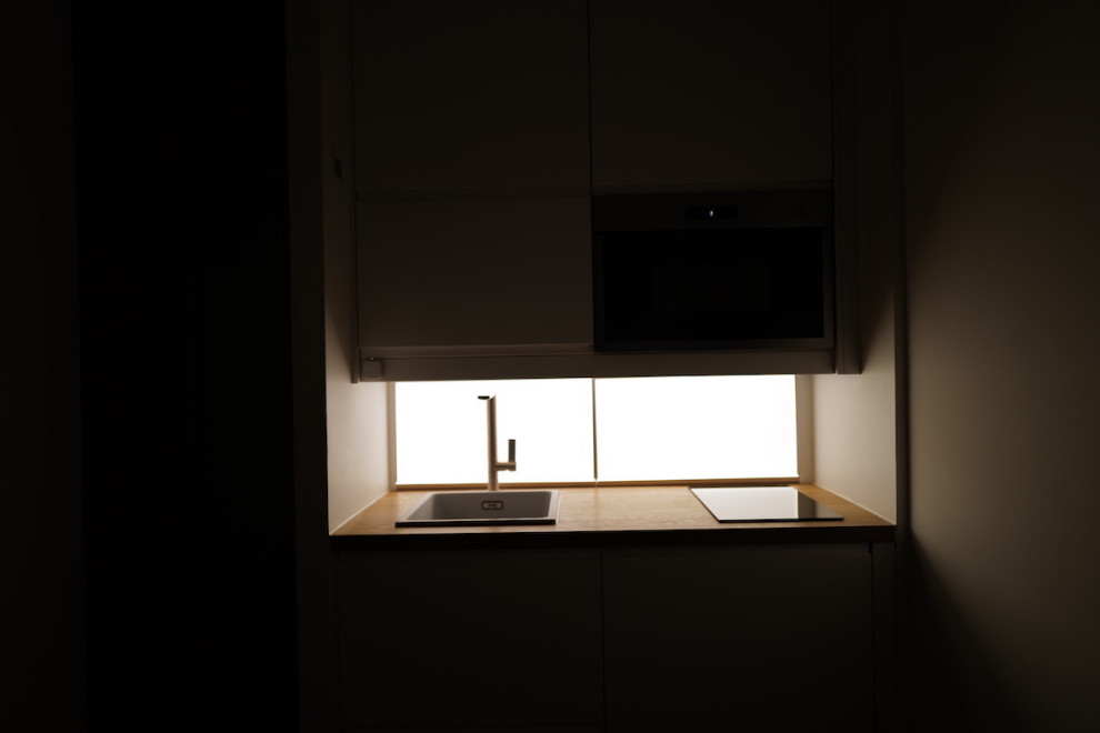 Cette image montre une petite cuisine ouverte linéaire design.