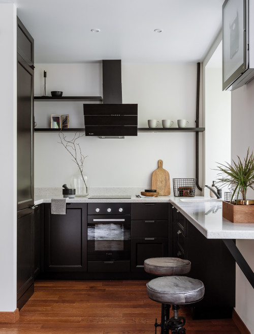 Transitional Kitchen Inspirations with Black Modern  Cabinets and White Countertop