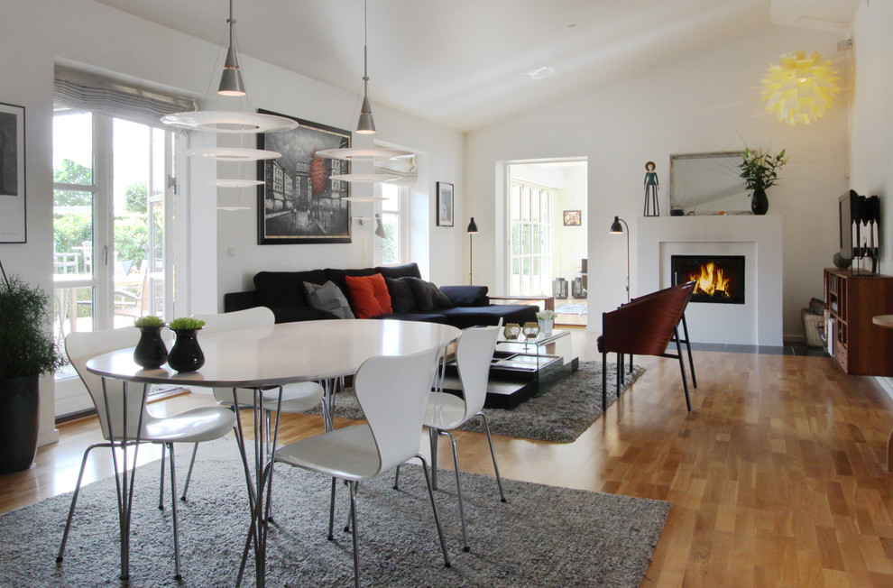 Danish living room photo in Aarhus