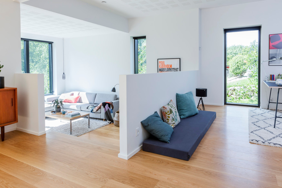Example of a minimalist living room design in Aarhus