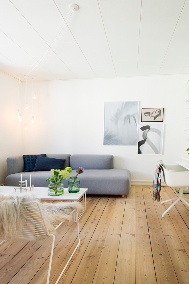 This is an example of a scandinavian living room.