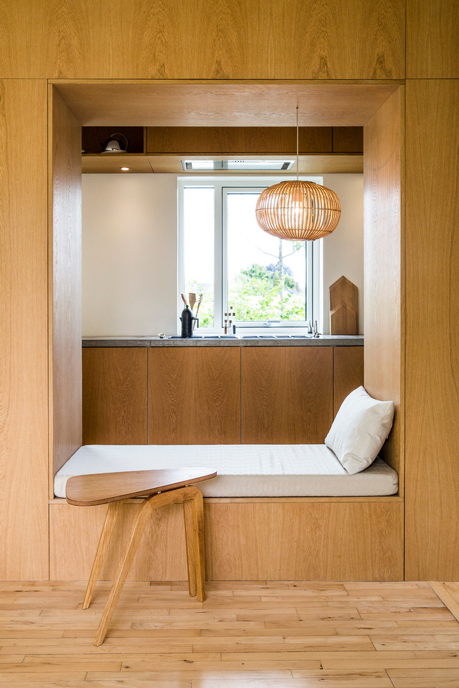 Diseño de salón cerrado escandinavo de tamaño medio sin chimenea y televisor con suelo de madera en tonos medios y paredes marrones