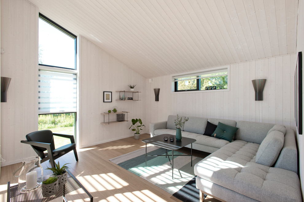 Living room - scandinavian living room idea in Esbjerg