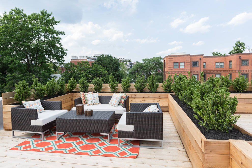 Contemporary roof rooftop terrace in DC Metro with a potted garden and no cover.
