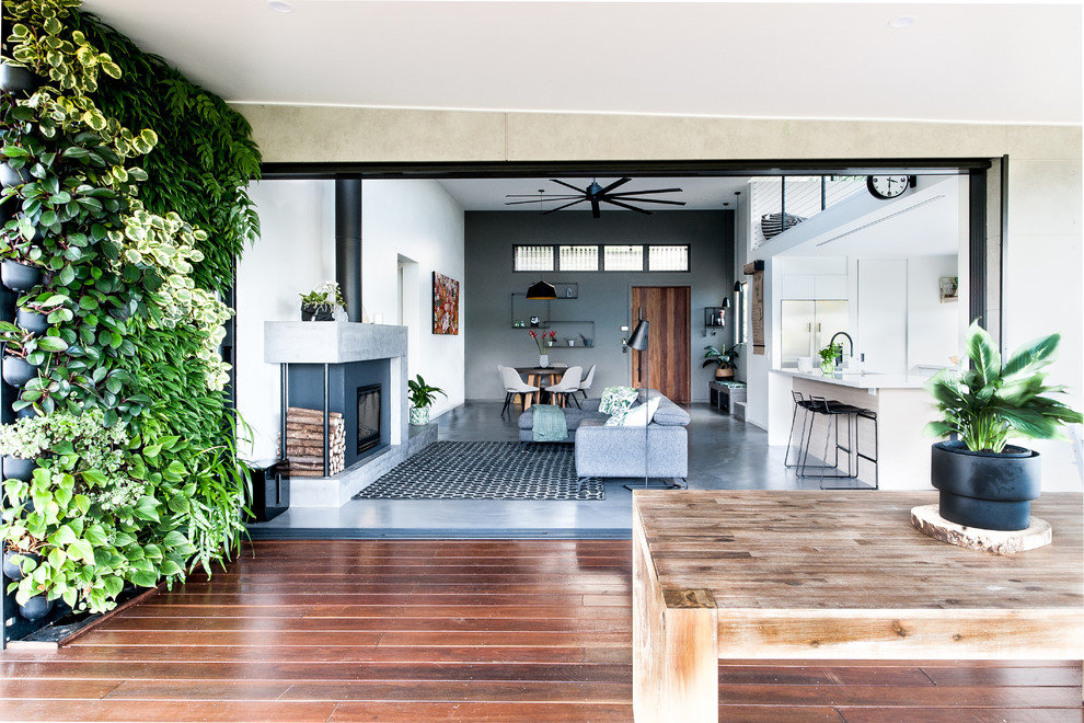 Überdachte Moderne Terrasse hinter dem Haus mit Pflanzwand in Gold Coast - Tweed
