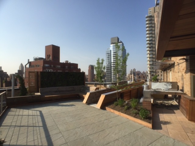 Medium sized contemporary roof terrace in New York with an awning.