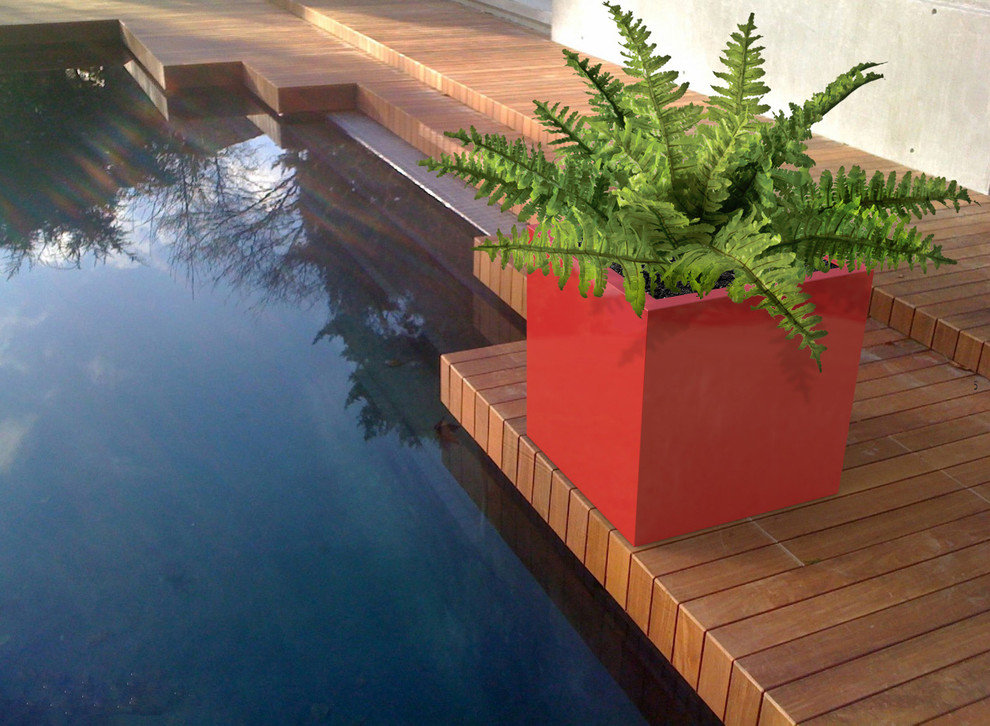Идея дизайна: большая терраса на заднем дворе в современном стиле с растениями в контейнерах