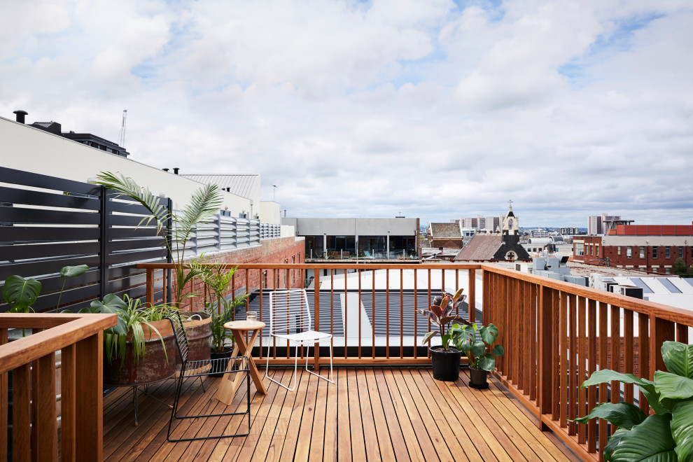 Diseño de terraza actual sin cubierta en azotea con jardín de macetas