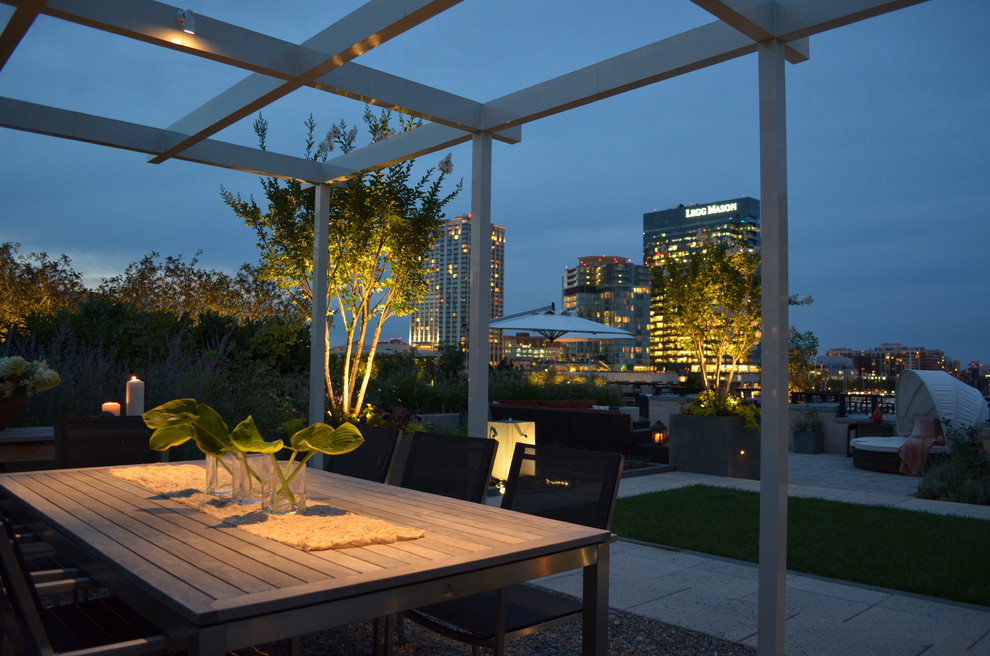 Baltimore Roof Top Terrace Modern Deck Baltimore By Plusen Landscape Architects