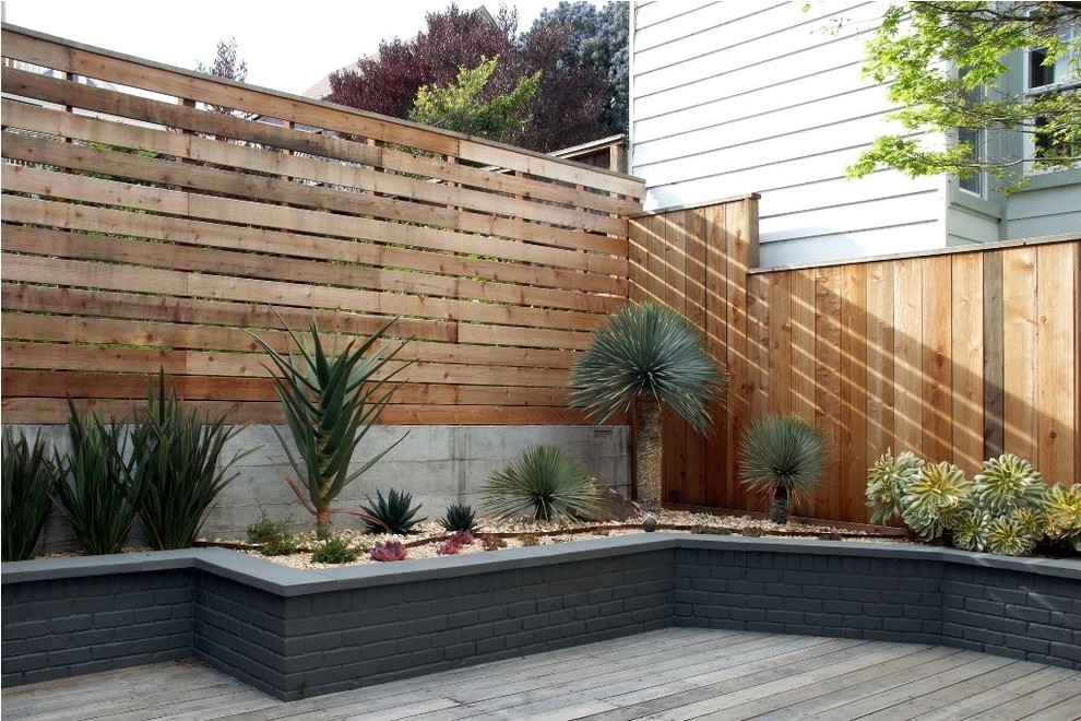 Photo of a medium sized contemporary back terrace in San Francisco with no cover and fencing.
