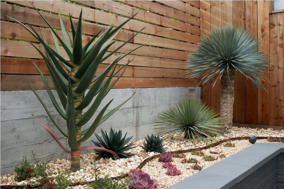 Bay Area Designs Modern Deck San Francisco by Patrick Lannan Designs Houzz