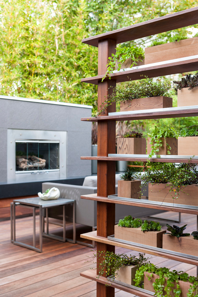 Пример оригинального дизайна: терраса на заднем дворе в современном стиле с растениями в контейнерах без защиты от солнца