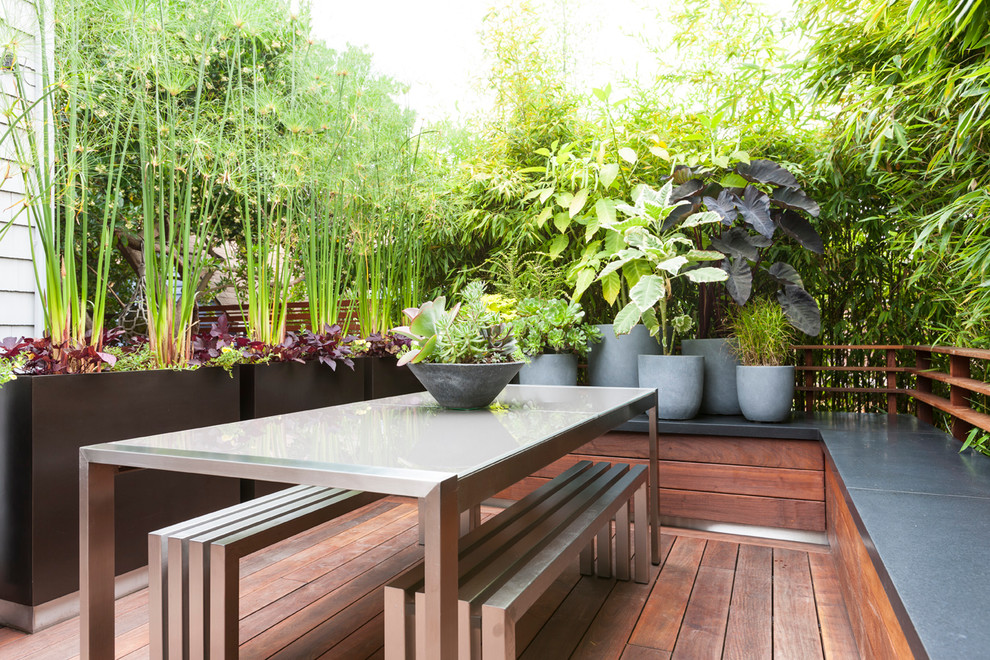 Inspiration pour une terrasse avec des plantes en pots arrière design avec aucune couverture.